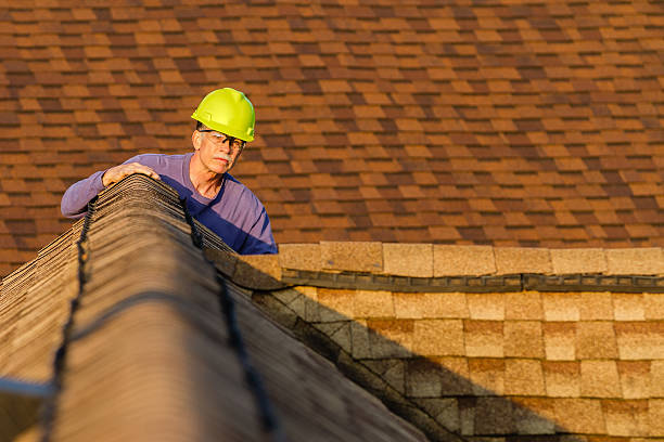 Roof Gutter Cleaning in Brandywine, MD